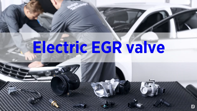 Electric EGR replacement  |  #DTmasterclass