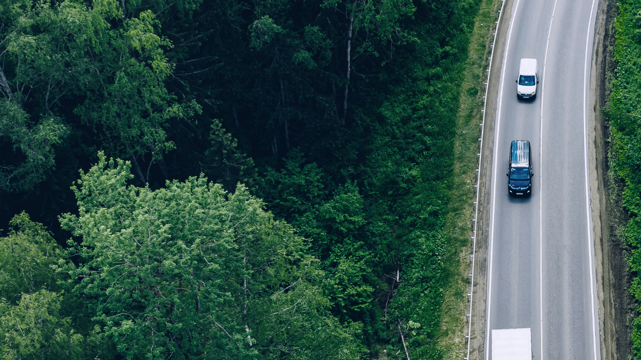 White van driving behind a black van along a single carriageway road beside a forest.