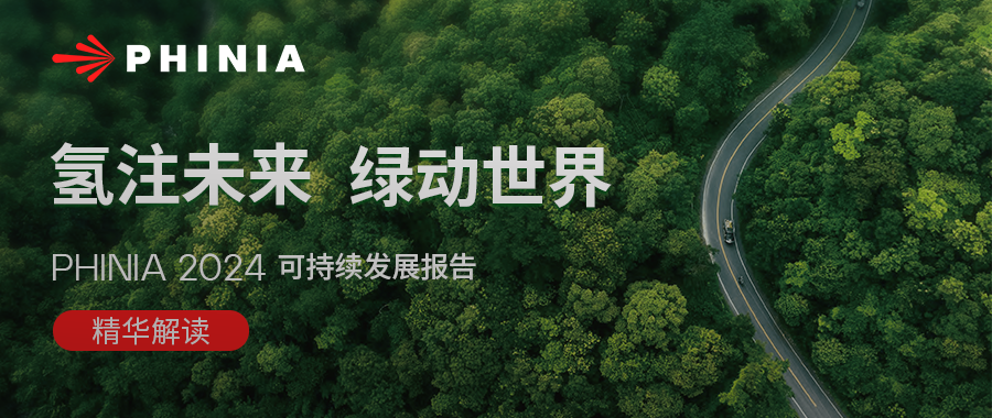 A tree-lined road symbolizing nature, tranquility, and environmental harmony