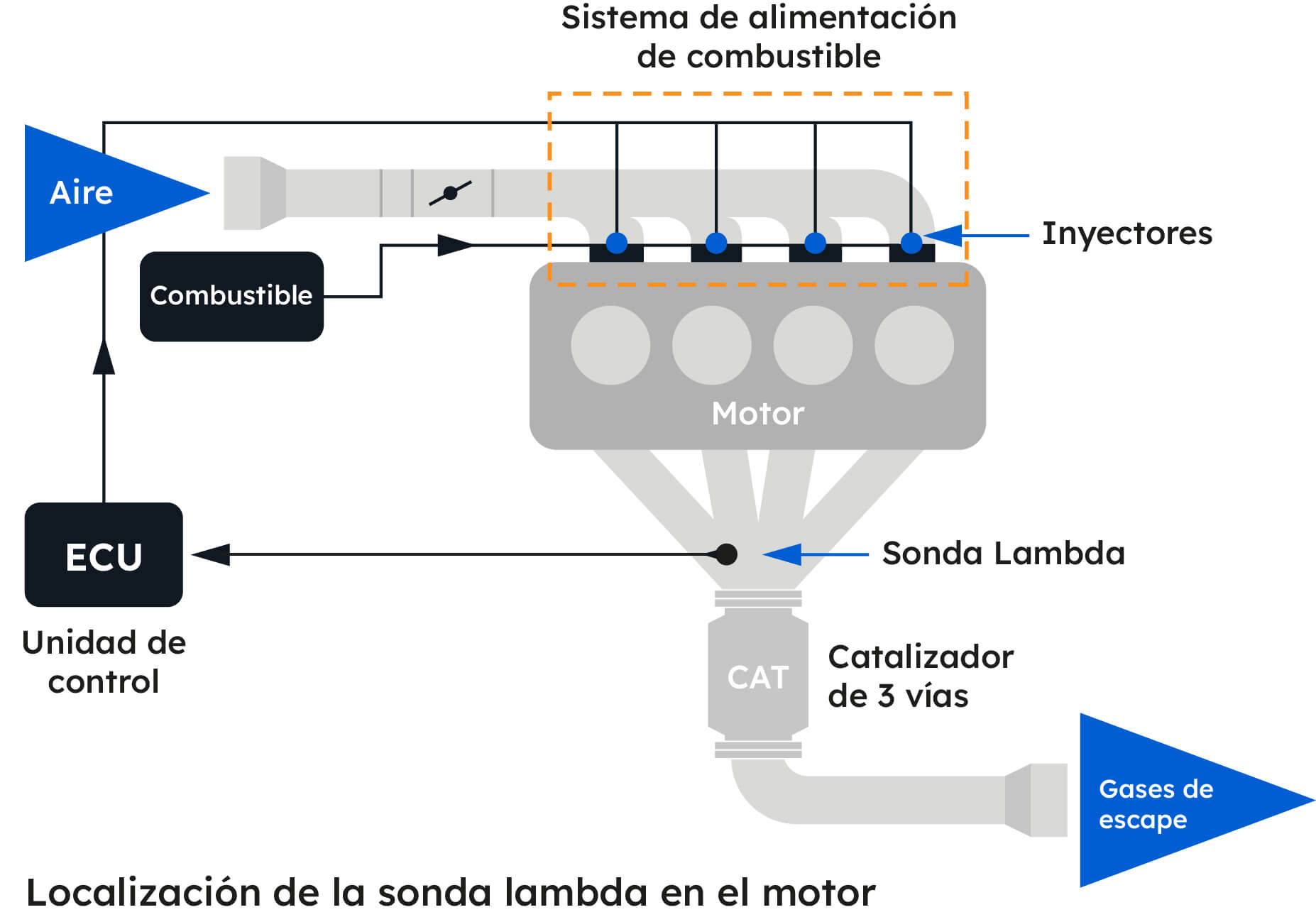 Delphi Lambda Probe_V2