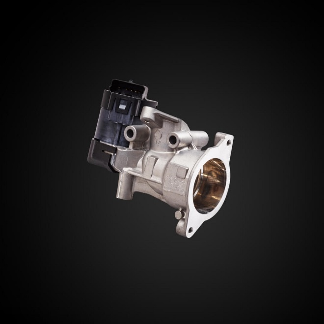 Delphi_Emissions_EGR Valve 2