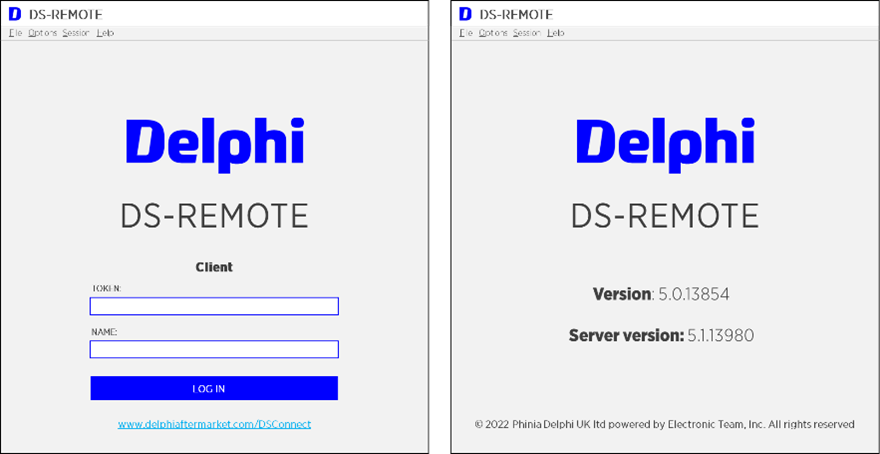 DS-Remote window view by Delphi