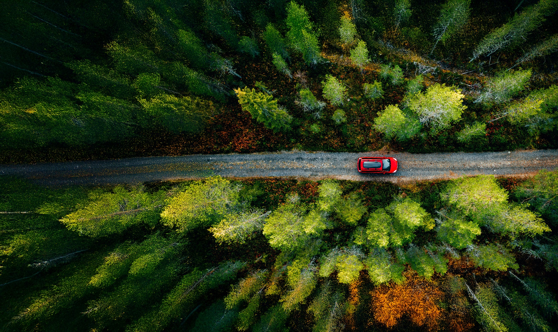 Light Passenger Vehicles