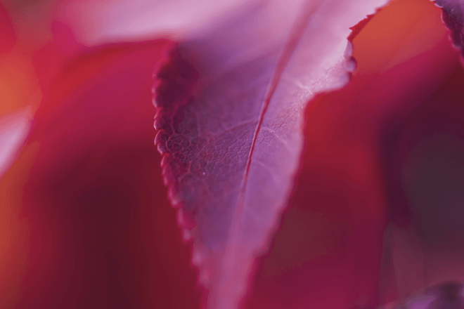 sustainability report